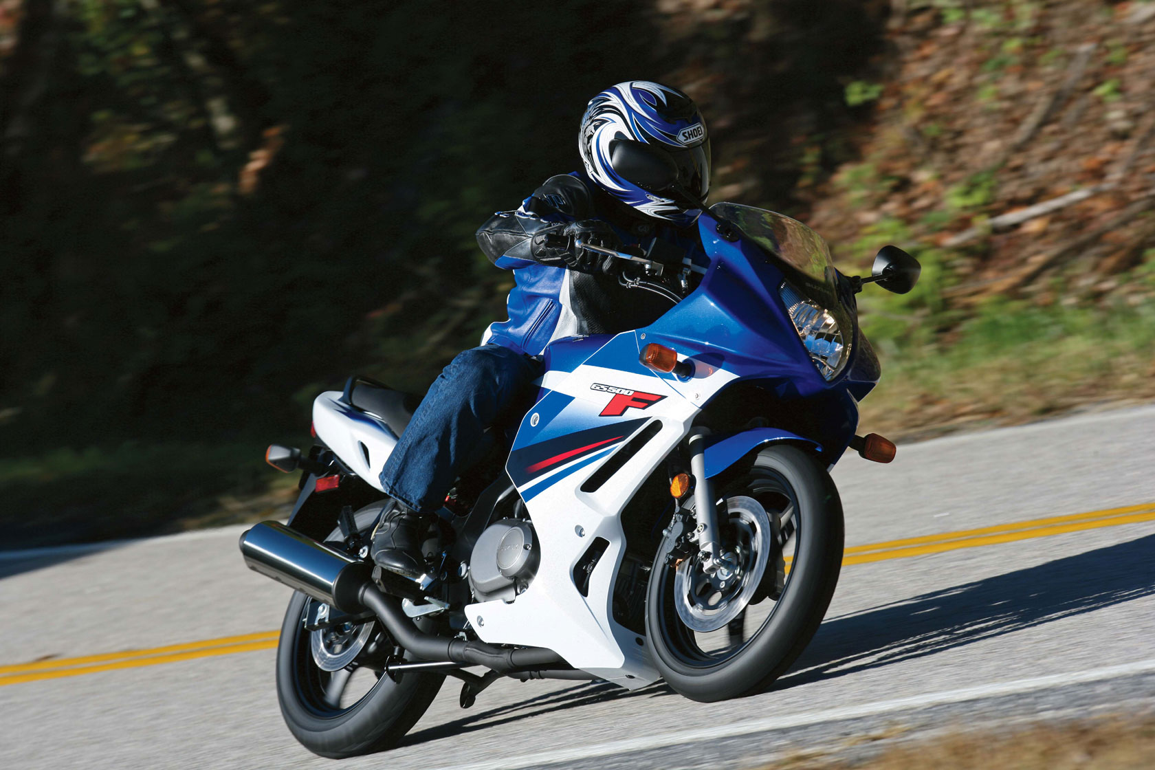 2009 suzuki gs500